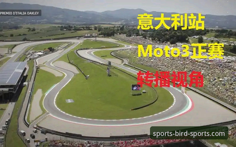 剖析意大利出局：3个技术视角与1个平台体验评测