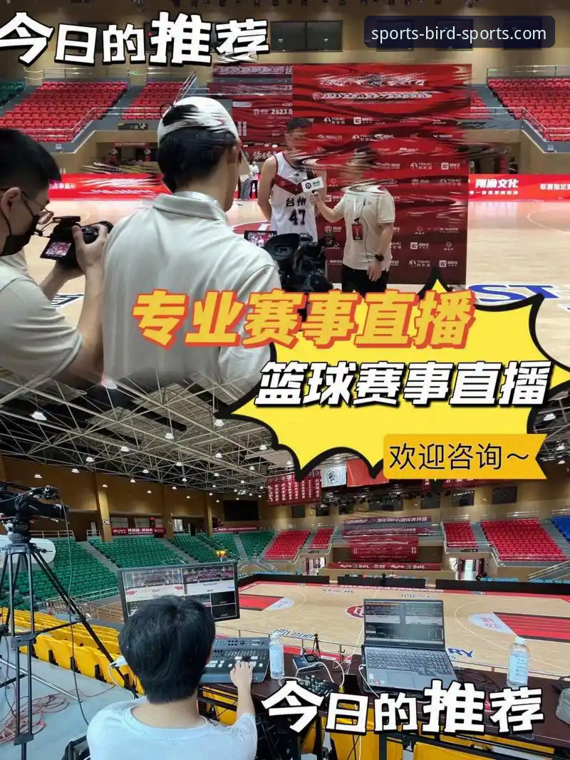 全球赛事直播小鸟体育深度评测：不止于观看，更是体育生态的革新体验