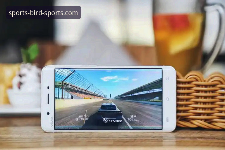 小鸟体育平台移动端体验最新评测：官网链接手机版深度解析